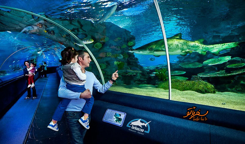 آکواریوم استانبول 